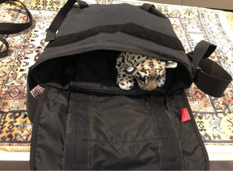 Manhattan portage รูปที่ 10