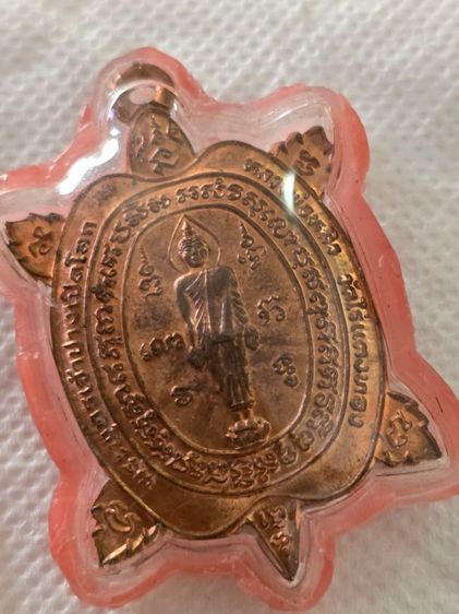 เต่าปู่หลิว เปิดโลก รูปที่ 4