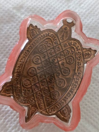 เต่าปู่หลิว เปิดโลก รูปที่ 2