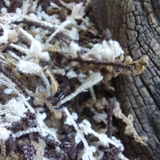 🅿️ASAY🅰️ พรมตกแต่งธรรมชาติสวย ดีไซน์สุดหรู ไม่ผ่านการใช้งาน รูปที่ 6