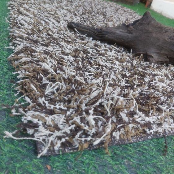 🅿️ASAY🅰️ พรมตกแต่งธรรมชาติสวย ดีไซน์สุดหรู ไม่ผ่านการใช้งาน รูปที่ 2