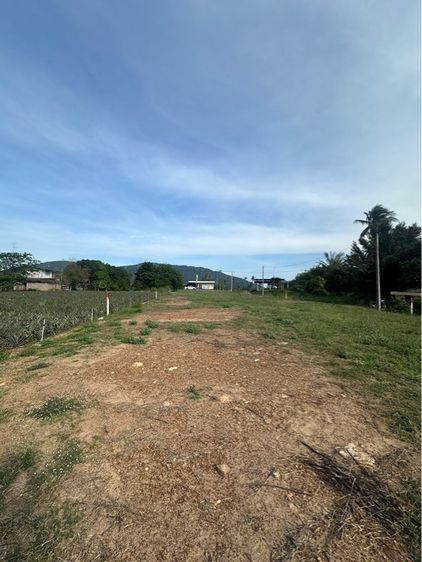 ที่ดินปราณบุรี รูปที่ 3