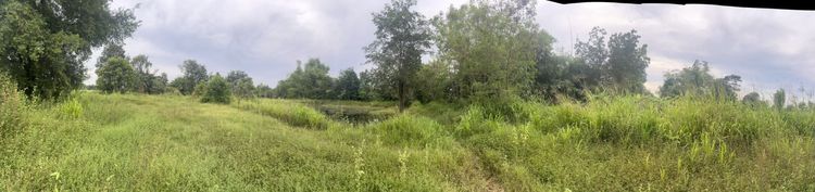 ขายด่วน ที่ดินเอกสารโฉนด ครุฑแดง นา+สวน 10 ไร่ ทำเลติดคลองอีสานเขียว อ.พล ขอนแก่น เจ้าของขายเอง รูปที่ 2