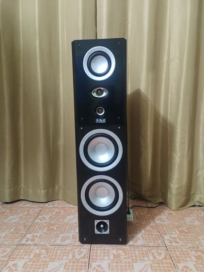 ลำโพงบลูทูชคาราโอเกะ เสียงดีมาก