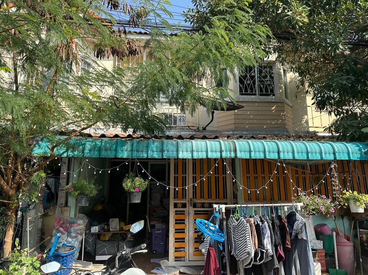 พิศาลเทียนทะเล20