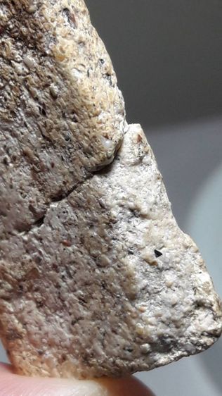 พระสมเด็จ พิมพ์ใหญ่ รูปที่ 9