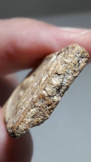 พระสมเด็จ พิมพ์ใหญ่ รูปที่ 6