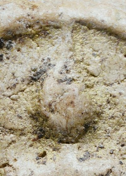 พระบ้าน สภาพใช้ พระสมเด็จวัดระฆัง พิมพ์ใหญ่ มีมวลสาร คราบทองประปราย เก่าจัด