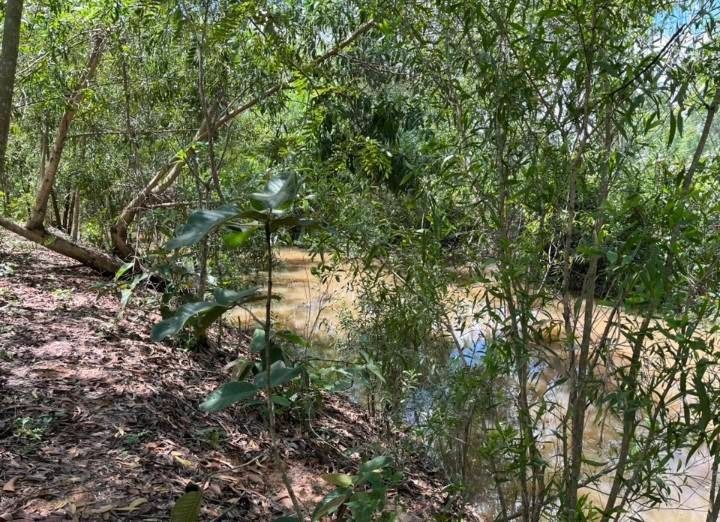 ขายที่ดินสวย วิวดีติดคลอง ใกล้สนามบินสกลนคร รูปที่ 2