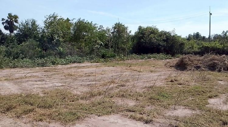 ขายที่ดินเปล่า ขนาด 1 ไร่ ต.เขาขลุง ราชบุรี ที่สวยหน้ากว้าง 40 เมตรเป็นถุงทอง รูปที่ 2