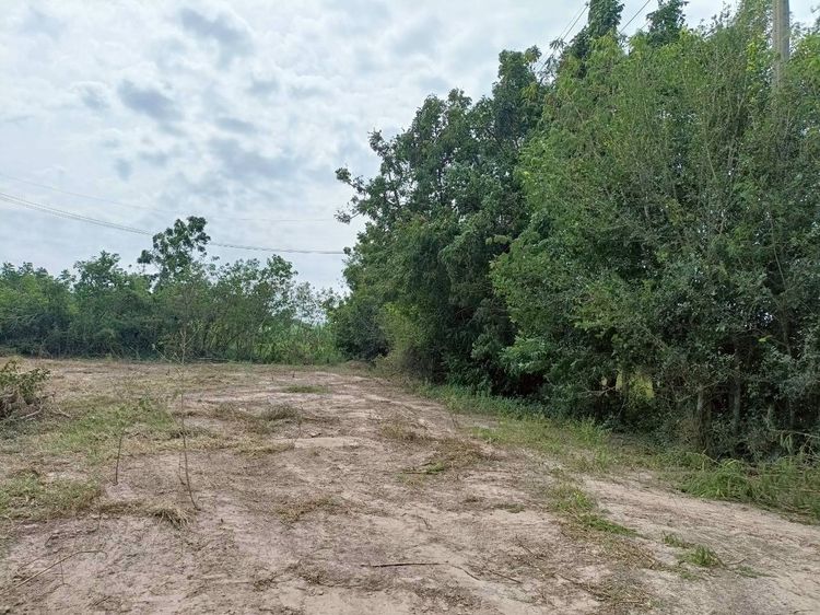 ขายที่ดินเปล่า ขนาด 1 ไร่ ต.เขาขลุง ราชบุรี ที่สวยหน้ากว้าง 40 เมตรเป็นถุงทอง รูปที่ 4