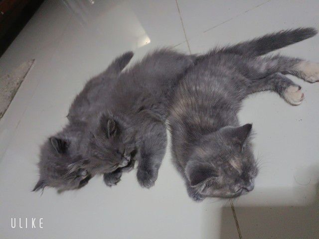 ราคาถูก