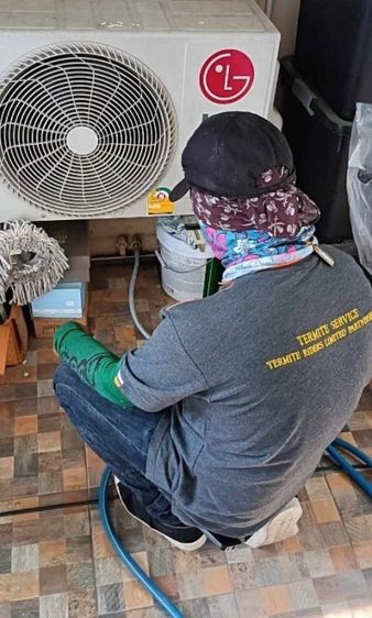 บริการกำจัด ปลวก มดแมลงครบวงจร