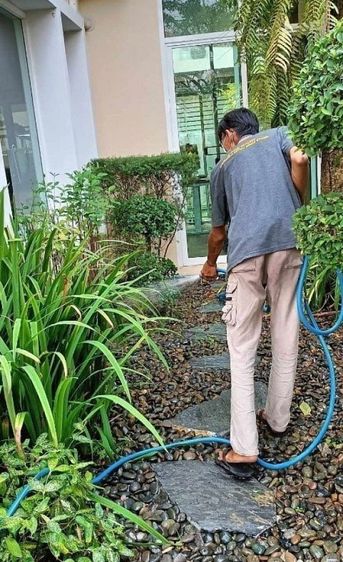 สร้างเสร็จก่อน 2010 มีบางส่วน ใช่ บริการกำจัด ปลวก มดแมลงครบวงจร รูปที่ 3