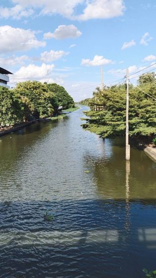 ใช่ ขายด่วน 520000  ริมคลองบางใหญ่ ตัดคลองโยง บรรยากาศดีมาก เหมาะทำคาเฟ่ โฮมเสตย์ ร้านอาหารริมน้ำ ทะเบียนบ้าน มิเตอร์น้ำไฟหลวงพร้อมโอน
 รูปที่ 2