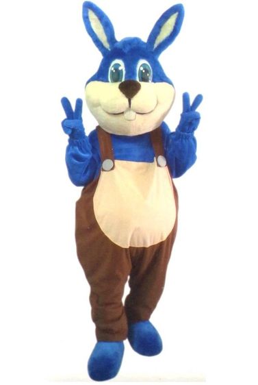 เช่าชุดการ์ตูน รูปที่ 2