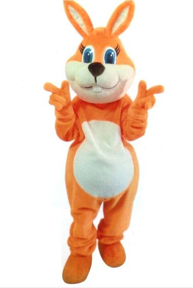 เช่าชุดการ์ตูน