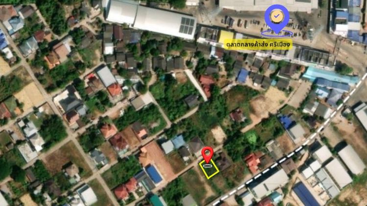 ใช่ ขายที่ดิน100ตรว.ดอนตะโก ทำเลทองกลางเมืองราชบุรี รูปที่ 3