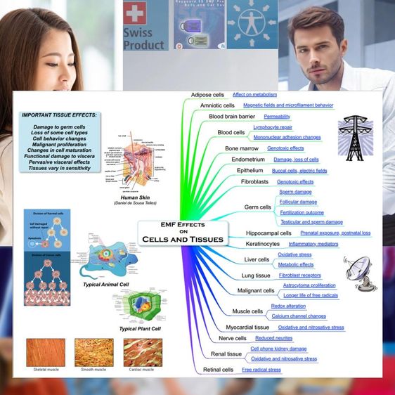 RayGuard® เครื่องประดับสไตล์สวิสแท้ ช่วยเสริมพลังชีวิตในยุคดิจิทัล 📿🛡️ รูปที่ 8