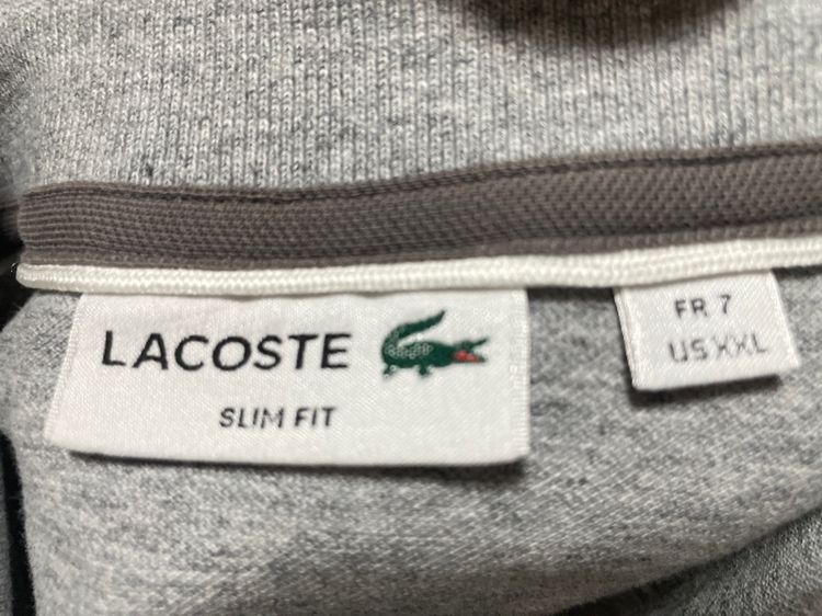 เสื้อยืด polo Lacoste  รูปที่ 3