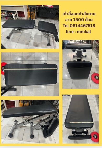 เก้าอี้ออกกำลังกาย