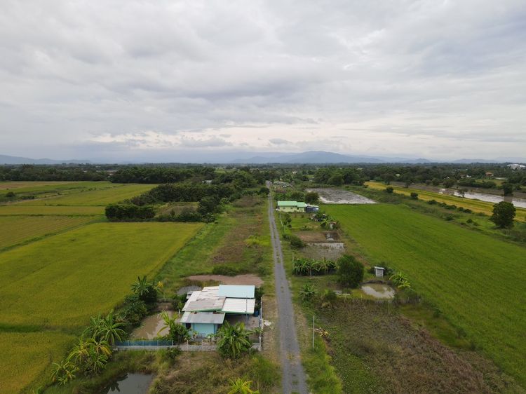 ที่ดินเงินผ่อน นครนายก ทำเลดี อ.บ้านนา โฉนดครุฑแดง รูปที่ 4