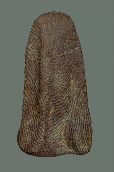 พระรอดลำพูน รูปที่ 2