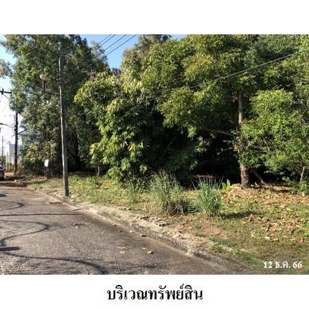 ทรัพย์ บสส. รหัส 1T1154 ที่ดินเปล่า  กรุงเทพมหานคร 4897800 รูปที่ 3