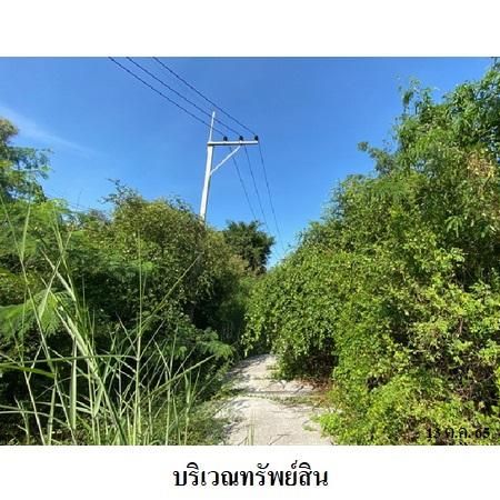 ทรัพย์ บสส. รหัส 8Z6020 ที่ดินเปล่า  ปทุมธานี 5923000 รูปที่ 2