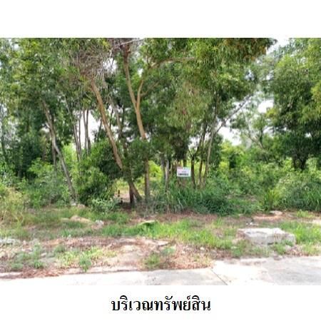 ทรัพย์ บสส. รหัส 8Z6224 ที่ดินเปล่า  ระยอง 4306000 รูปที่ 3