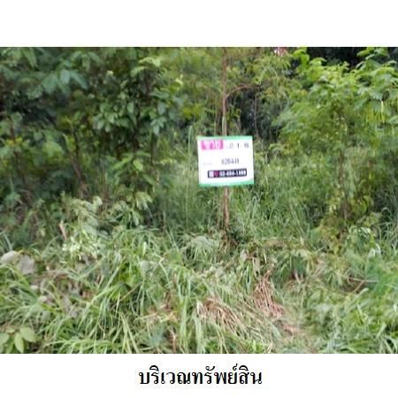 ทรัพย์ บสส. รหัส 8Z6441 ที่ดินเปล่า  ระยอง 1737000 รูปที่ 3