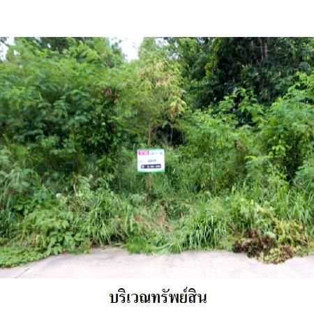 ทรัพย์ บสส. รหัส 8Z6441 ที่ดินเปล่า  ระยอง 1737000 รูปที่ 4