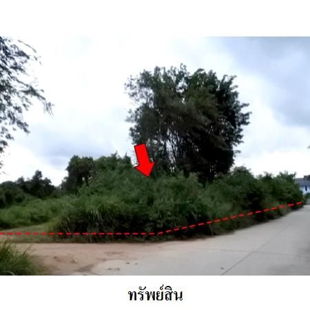 ทรัพย์ บสส. รหัส 8Z6442 ที่ดินเปล่า  ระยอง 3342000 รูปที่ 4