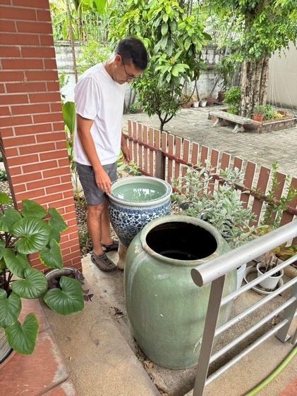 รับซื้อโอ่งเขียวไข่กา  รูปที่ 2