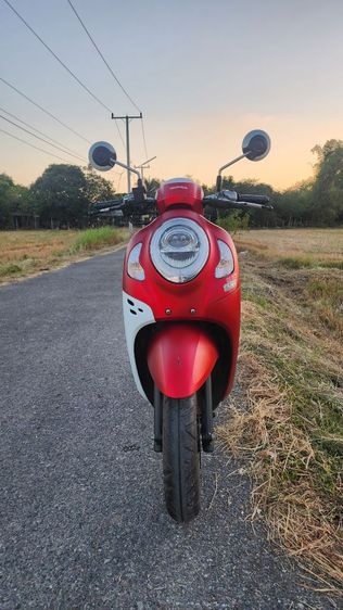 Scoopy i รูปที่ 4