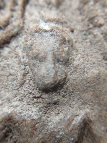 พระขุนแผน รูปที่ 6