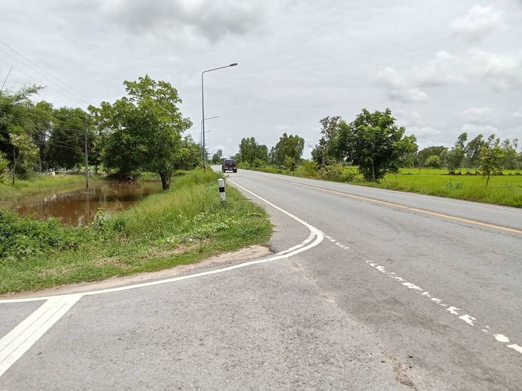 ขายที่ดินราคาถูกอำเภอโพนทราย จังหวัดร้อยเอ็ด รูปที่ 2