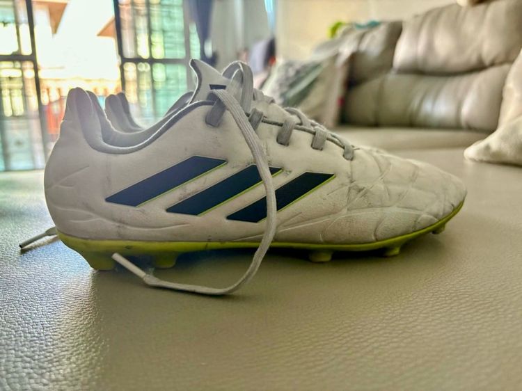 สตั๊ดเด็ก