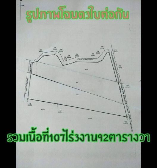 ที่ดินเเถวบางระกำเป็นท่าข้าว รอบๆเป็นที่นา รูปที่ 2