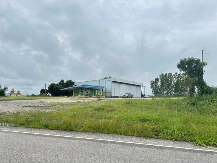 ที่ดินเเถวบางระกำเป็นท่าข้าว รอบๆเป็นที่นา