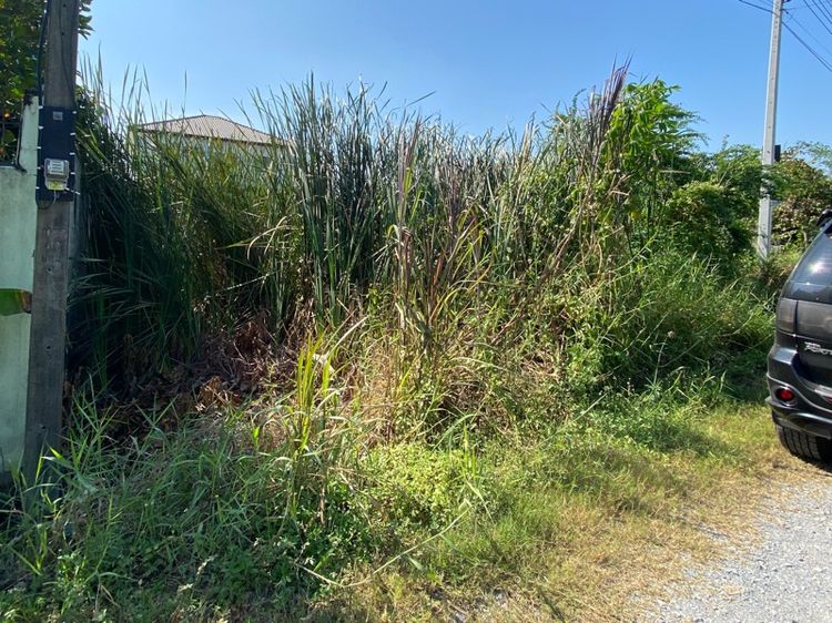 ที่ดินเปล่า ใกล้ ม.มหิดล ศาลายา รูปที่ 4