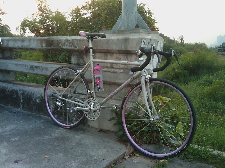 จักรยานเสือหมอบ quintana roo - pro series  usa. รูปที่ 2