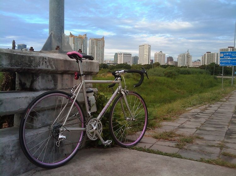 จักรยานเสือหมอบ quintana roo - pro series  usa.