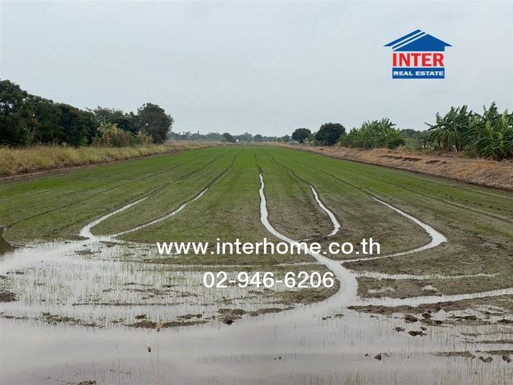 ที่ดินเปล่า 8 ไร่ ที่ดิน ใกล้วัดบัวปากท่า ใกล้ PTT Station ปตท.บัวปากท่า ถนนหมายเลข3422 บางเลน นครปฐม รูปที่ 3