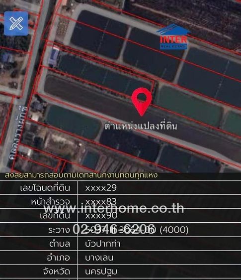 ที่ดินเปล่า 8 ไร่ ที่ดิน ใกล้วัดบัวปากท่า ใกล้ PTT Station ปตท.บัวปากท่า ถนนหมายเลข3422 บางเลน นครปฐม