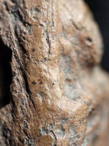 ❌ปิดครับ❌พระนางพญาเนื้อดินพิษณุโลกครับ รูปที่ 13