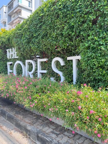 The Forest แจ้งวัฒนะ
