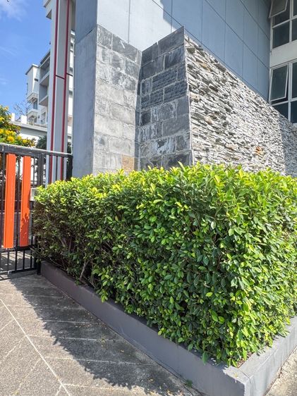 ตกแต่งครบ อื่นๆ 2022 ไม่อนุญาต ไม่ใช่ The Forest แจ้งวัฒนะ รูปที่ 3