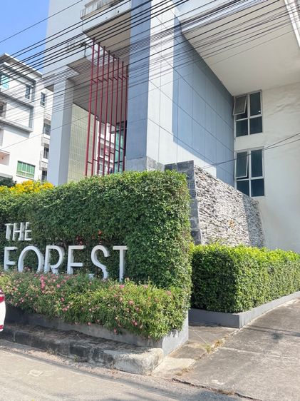 ตกแต่งครบ อื่นๆ 2022 ไม่อนุญาต ไม่ใช่ The Forest แจ้งวัฒนะ รูปที่ 2