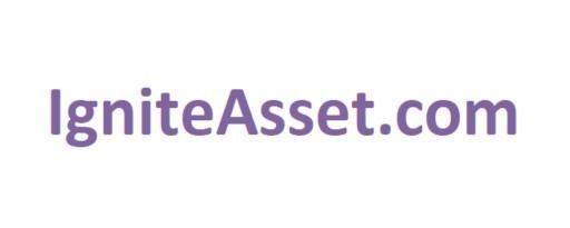 ขายโดเมน Brandable (IgniteAsset.com)
